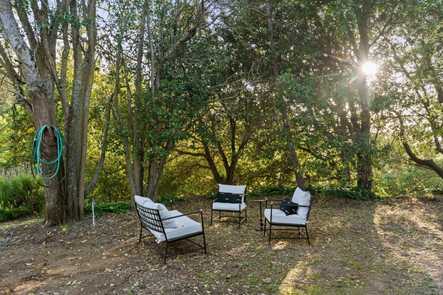 5152 Felter Road San Jose, CA 95132 - Photo 36 of 43 a view of a patio with chairs and a table