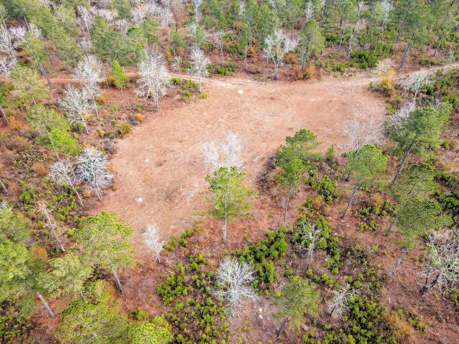 0 Deer Run Road, Unit B Williston, SC 29853 - Photo 10 of 19 Gallery Image 10