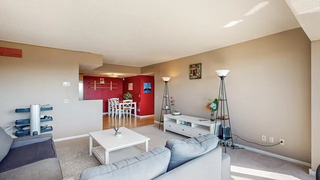 $230,000 | 207 5th Avenue Southwest, Unit 802, Rochester, MN 55902