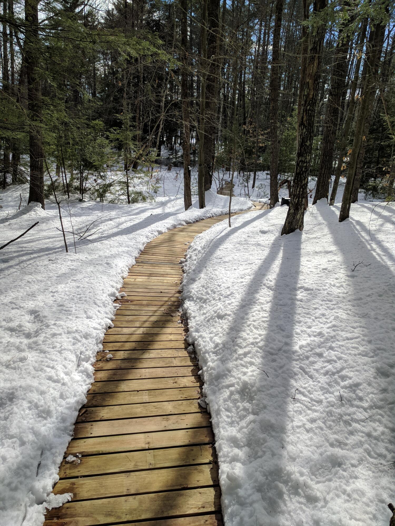 197 Old Country Way Limerick, ME 04048 - Photo 15 of 45 IMG_20180219_135332