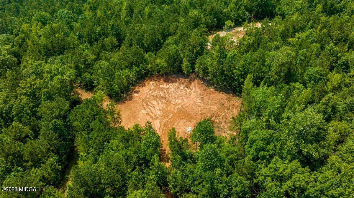 345 Zellner Road Forsyth, GA 31029 - Photo 3 of 4 a view of a yard