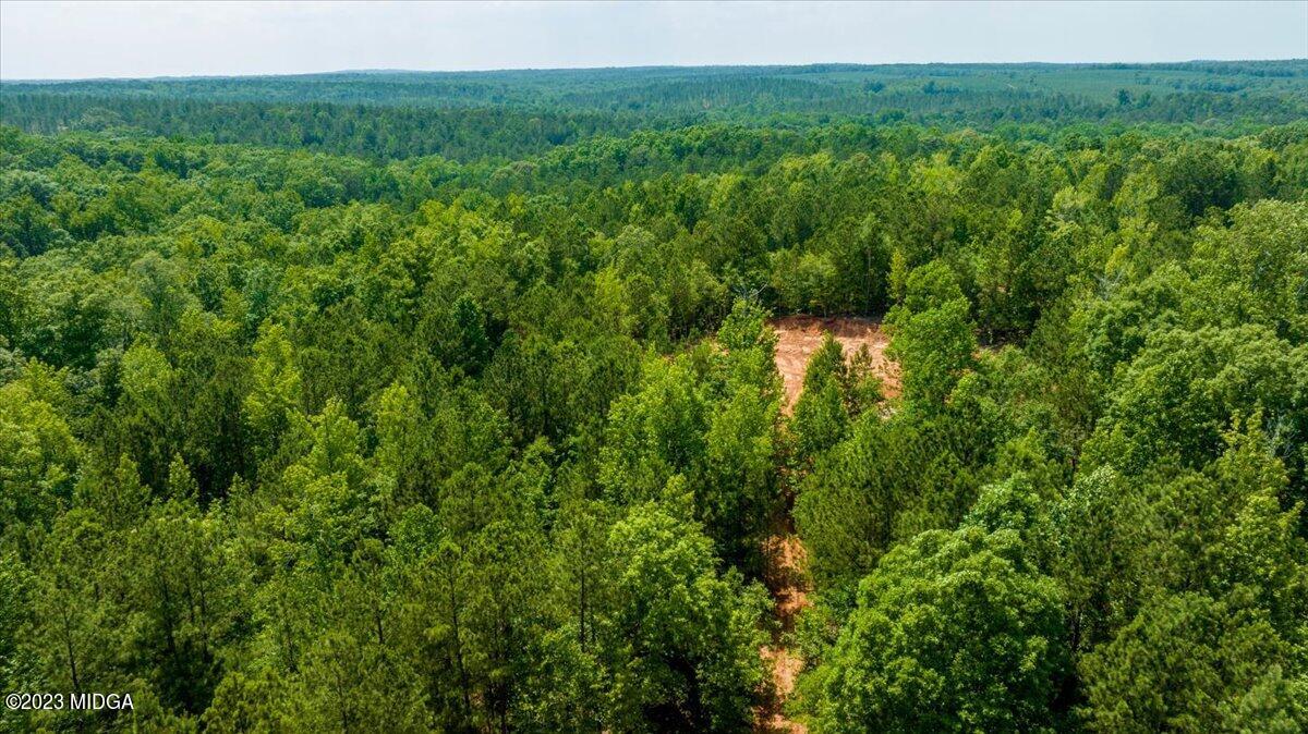 345 Zellner Road Forsyth, GA 31029 - Photo 4 of 4 a view of a lush green forest with trees and some houses