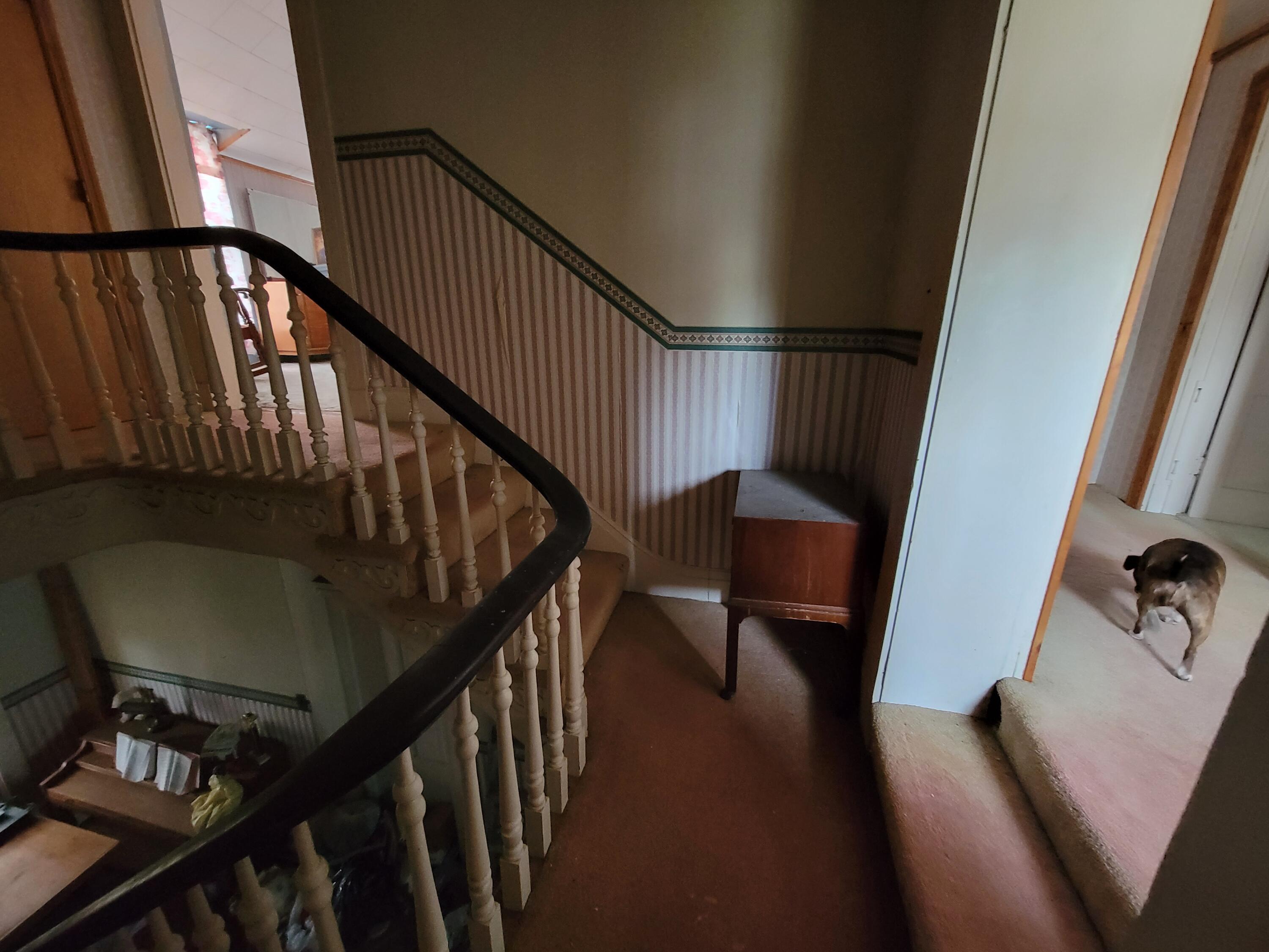 6485 Helena Road Mayslick, KY 41055 - Photo 4 of 10 Gallery Image 4