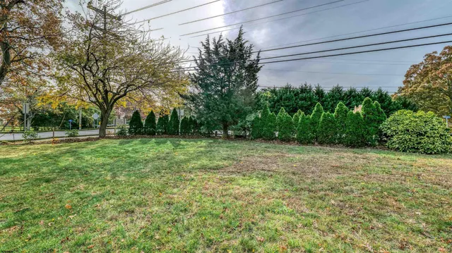 a view of a yard with a tree