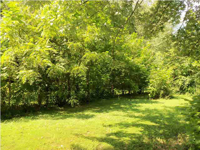 166 Geyer Road Boonville, IN 47601 - Photo 8 of 17 Gallery Image 8