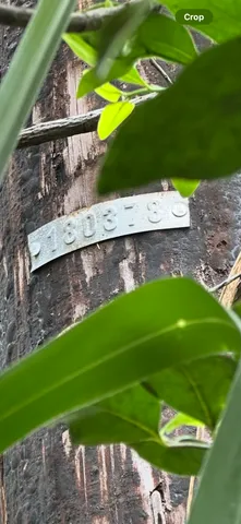 a view of a back yard of a house