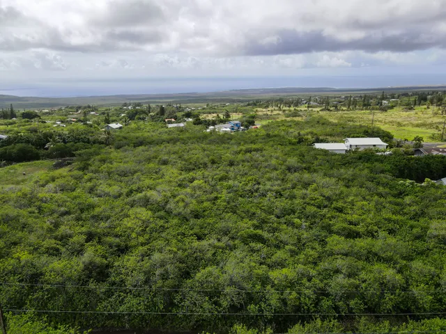 a view of a field with lots of trees