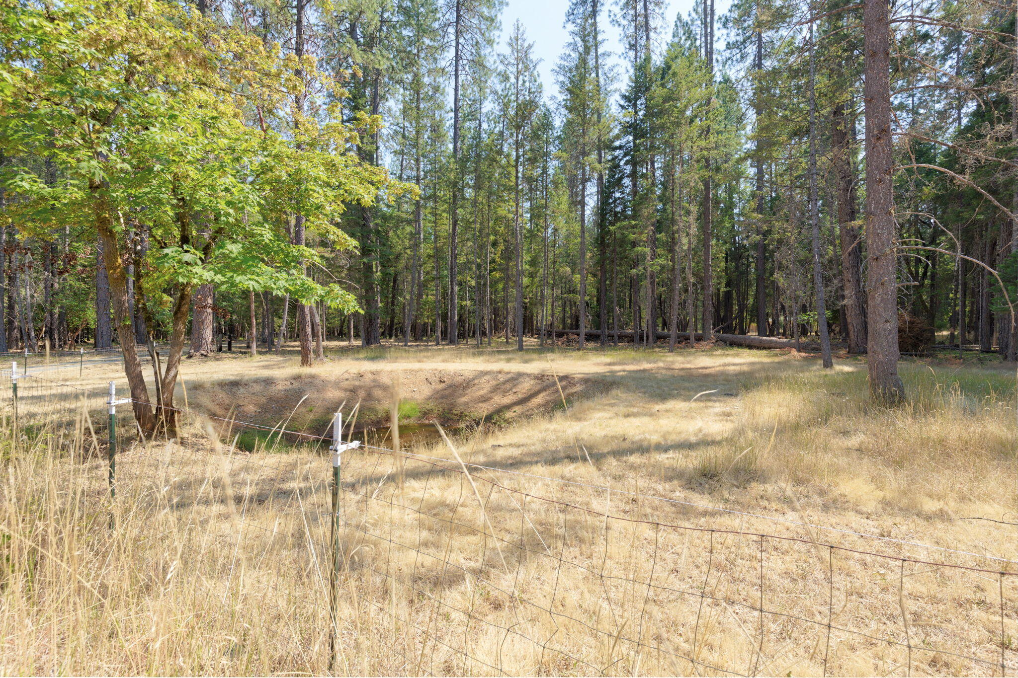2972 Pleasant Creek Road Rogue River, OR 97537 - Photo 38 of 45 26-web-or-mls-2972-pleasant-creek-rd