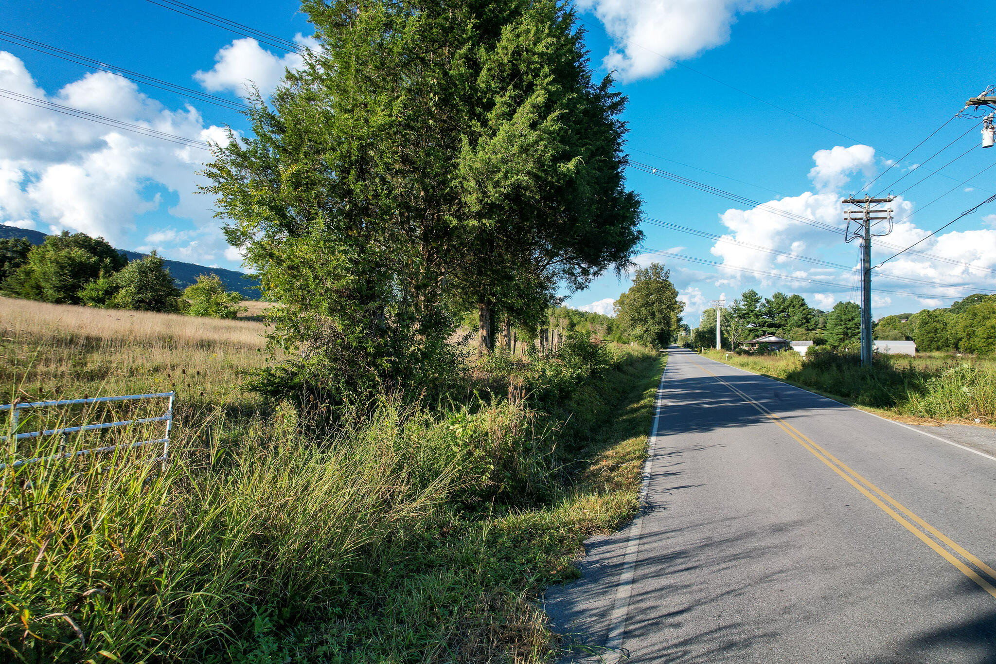 Lot 1 Fodderstack Ridge Road, Unit 1 Greeneville, TN 37745 - Photo 10 of 14 DJI_0127