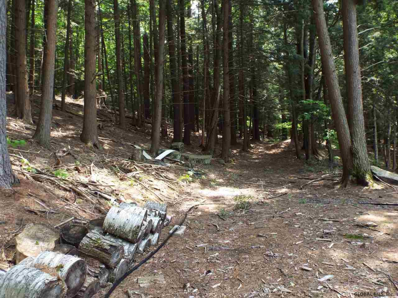 3304 South Shore Road Day, NY 12822 - Photo 30 of 37 Photo 32