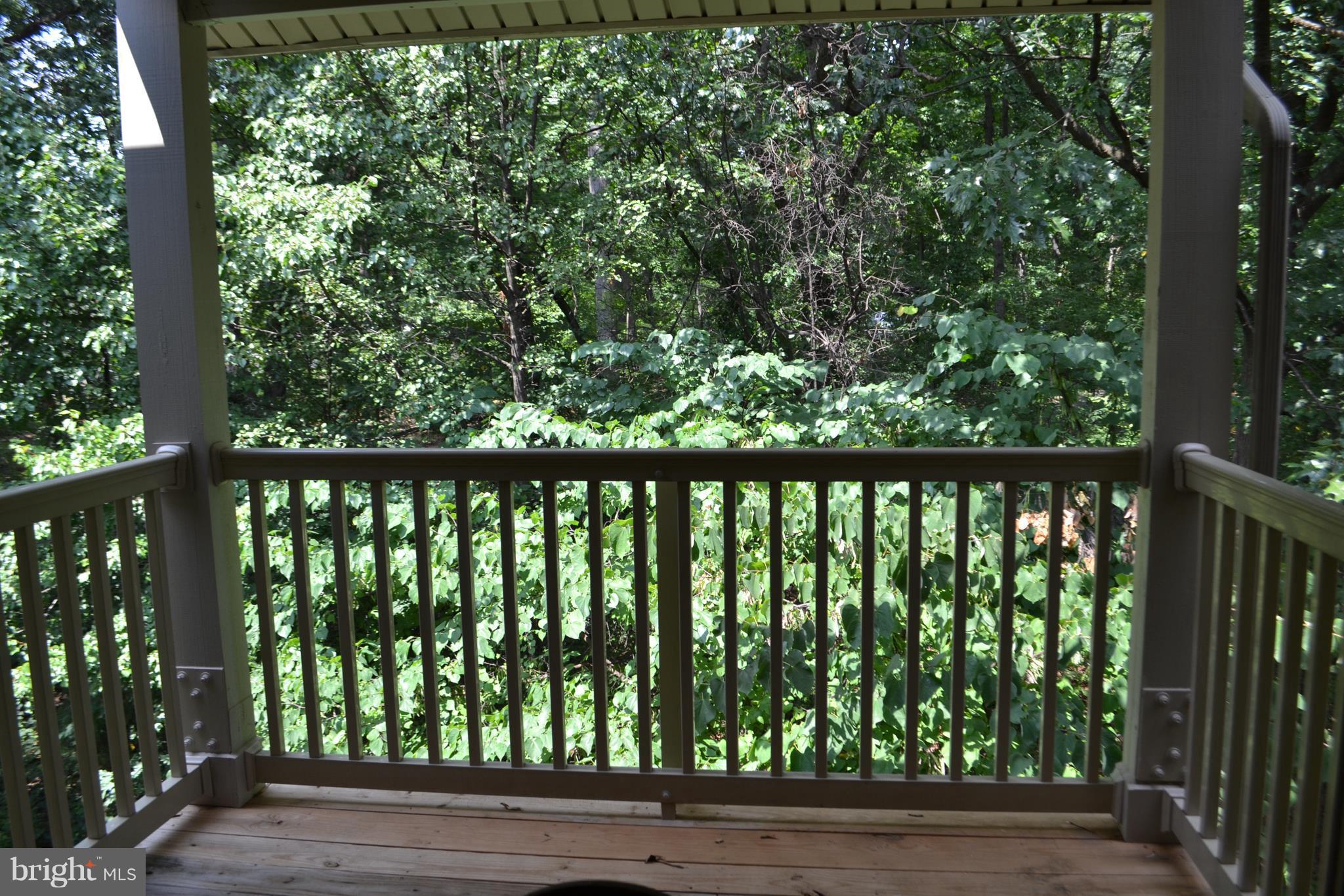1704 Ascot Way, Unit F Reston, VA 20190 - Photo 8 of 18 Private wooded views from oversized balcony