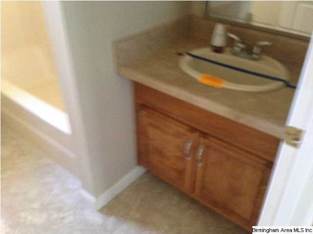 5541 Newfound Road Mount Olive, AL 35117 - Photo 10 of 15