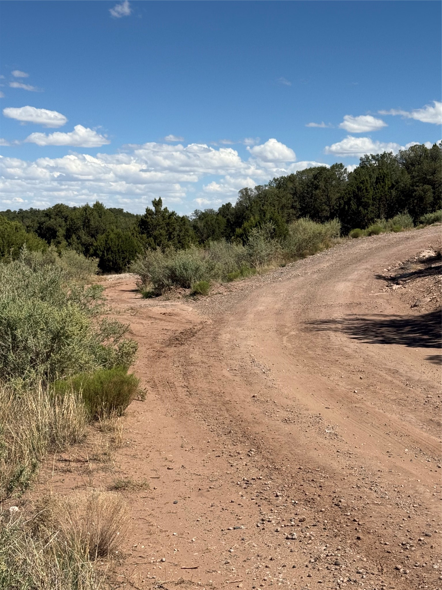 174 Hidden Valley Ranch Road Ilfeld, NM 87538 - Photo 5 of 30