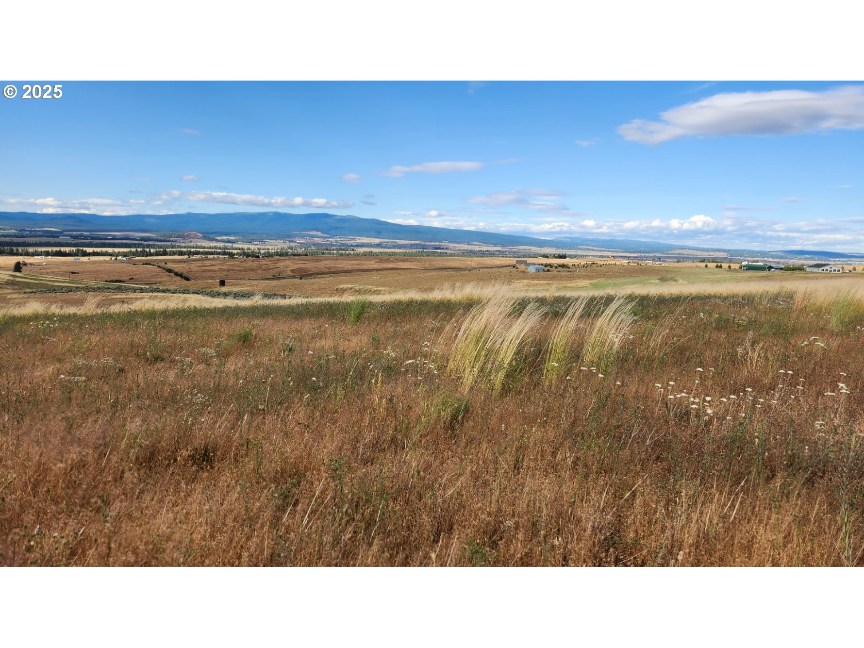 Nka Shull Ranch Road Centerville, WA 98613 - Photo 12 of 20