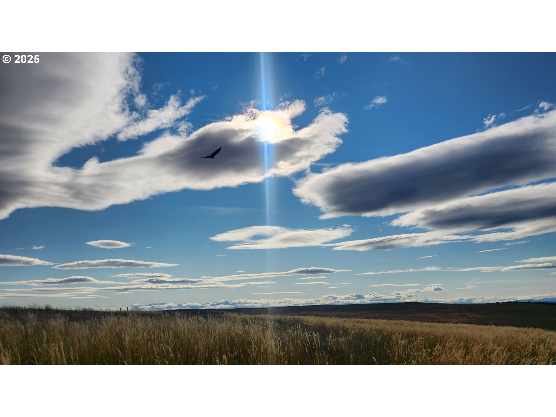 Nka Shull Ranch Road Centerville, WA 98613 - Photo 13 of 20