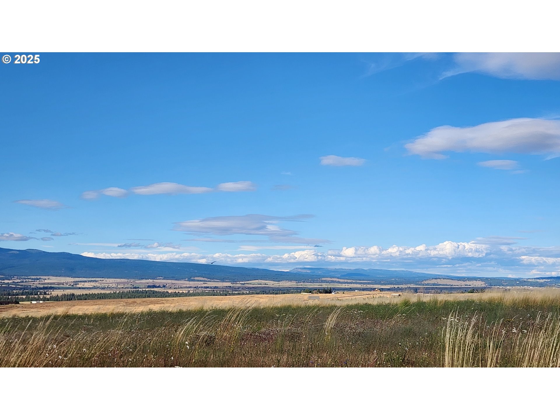 Nka Shull Ranch Road Centerville, WA 98613 - Photo 14 of 20