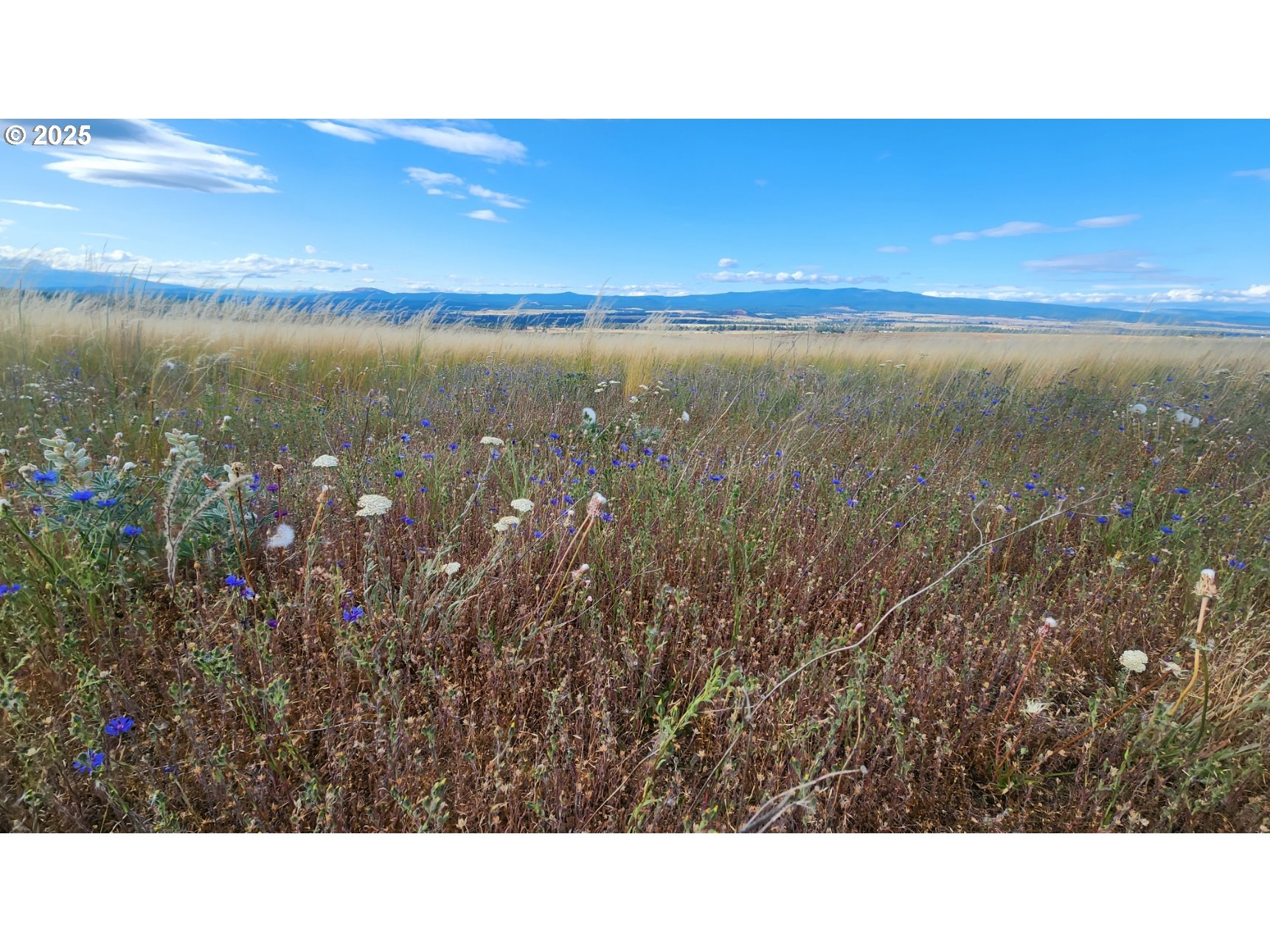 Nka Shull Ranch Road Centerville, WA 98613 - Photo 15 of 20