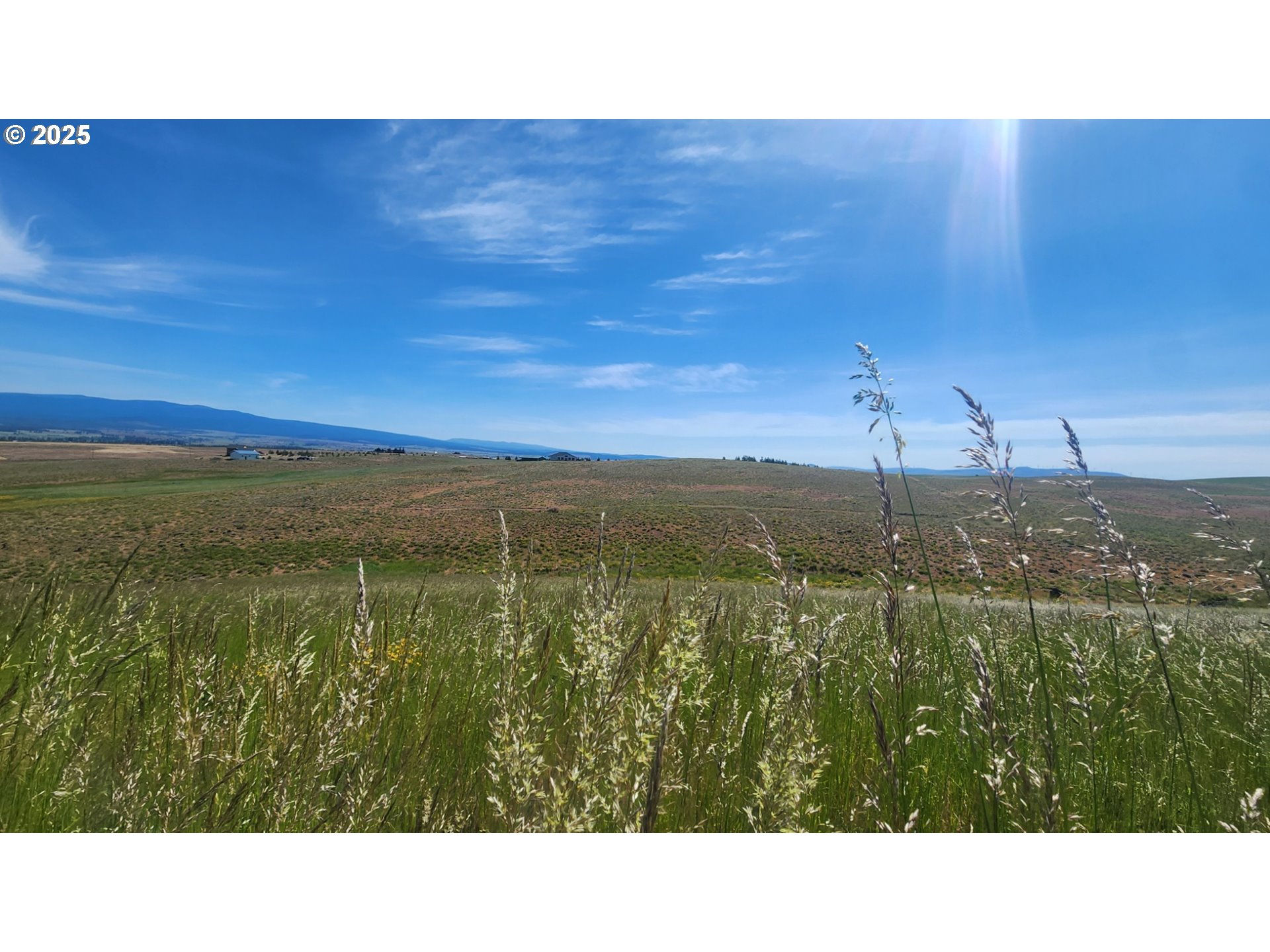 Nka Shull Ranch Road Centerville, WA 98613 - Photo 16 of 20