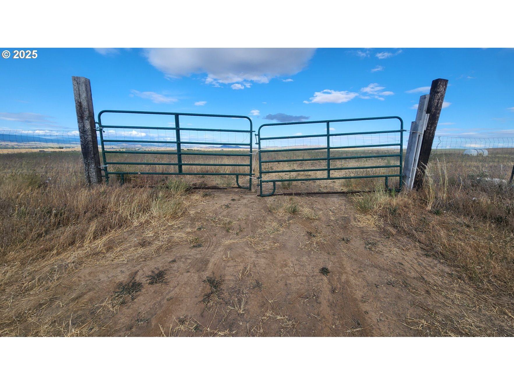 Nka Shull Ranch Road Centerville, WA 98613 - Photo 19 of 20