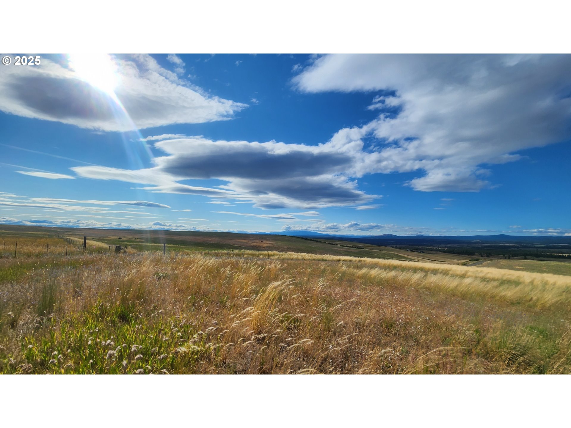 Nka Shull Ranch Road Centerville, WA 98613 - Photo 3 of 20