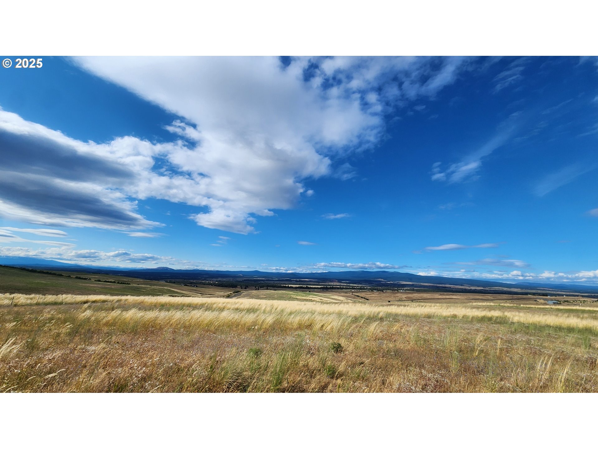 Nka Shull Ranch Road Centerville, WA 98613 - Photo 4 of 20