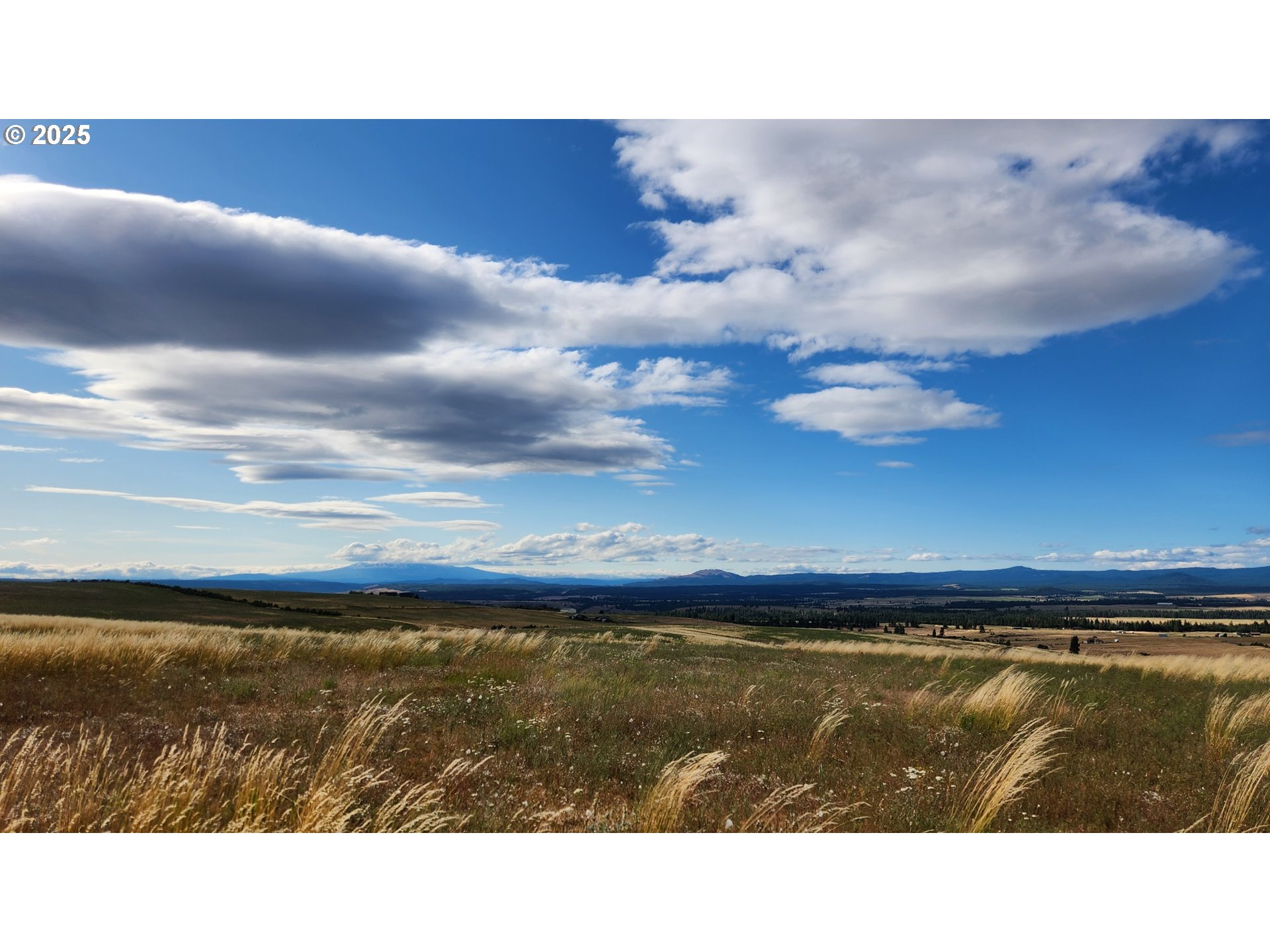 Nka Shull Ranch Road Centerville, WA 98613 - Photo 5 of 20