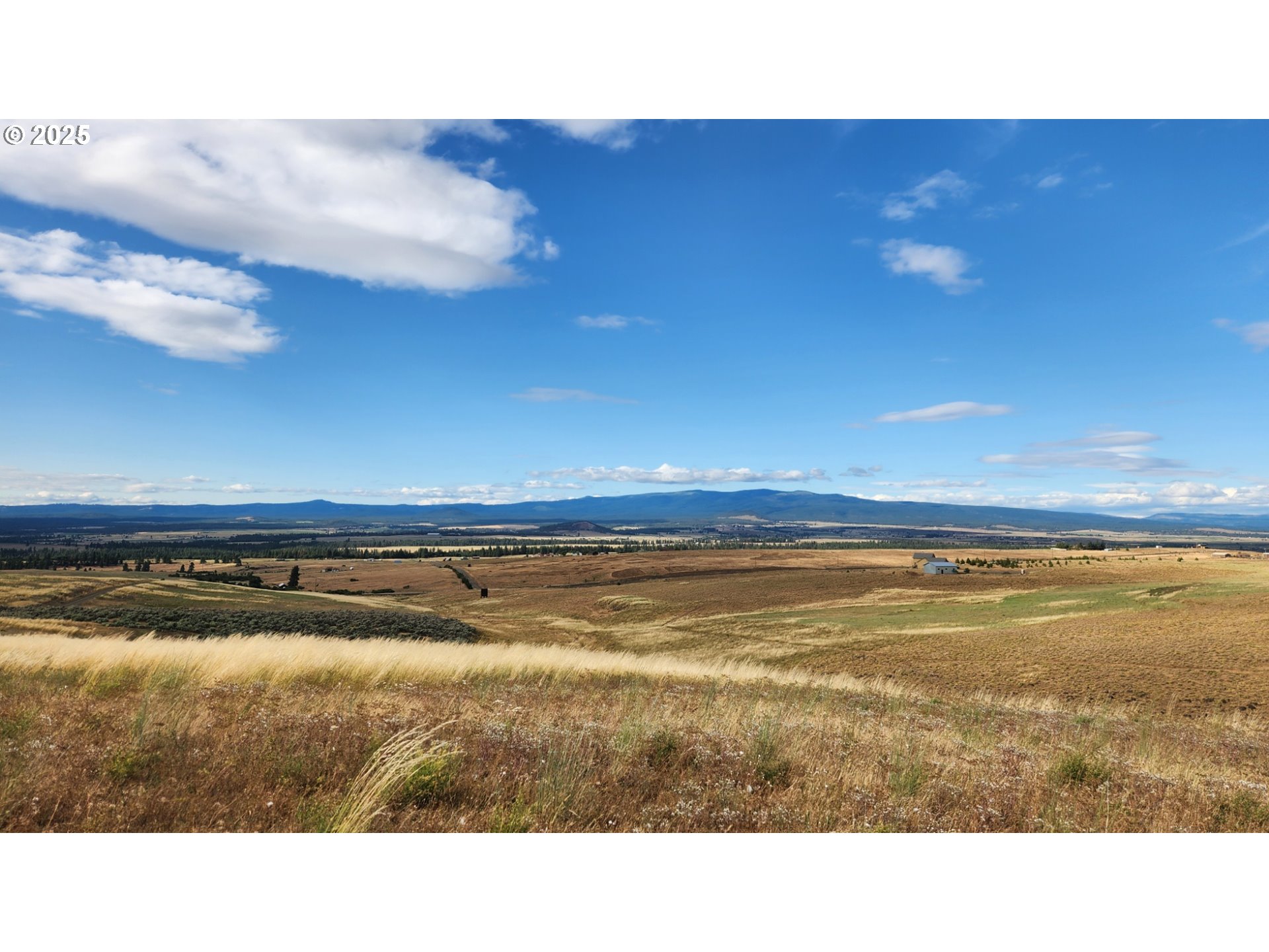 Nka Shull Ranch Road Centerville, WA 98613 - Photo 6 of 20