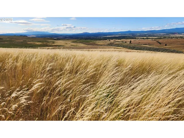 $85,000 | Nka Shull Ranch Road, Centerville, WA 98613