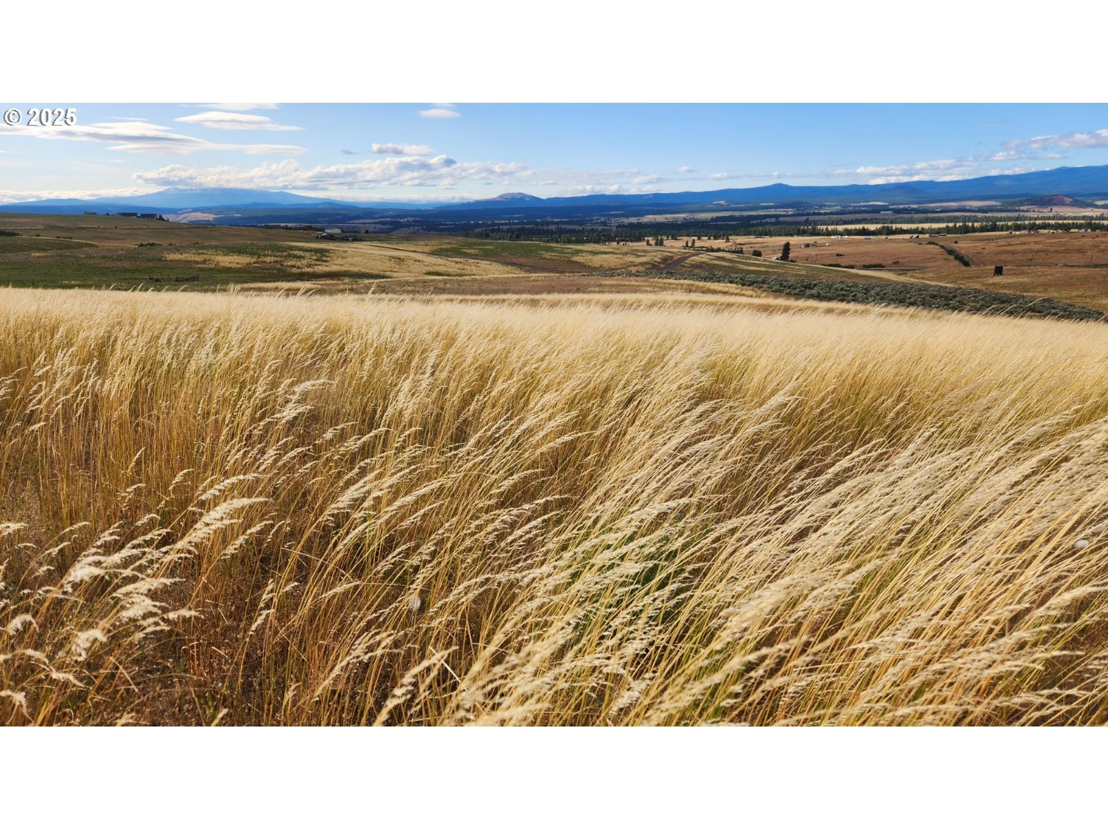 Nka Shull Ranch Road Centerville, WA 98613 - Photo 7 of 20