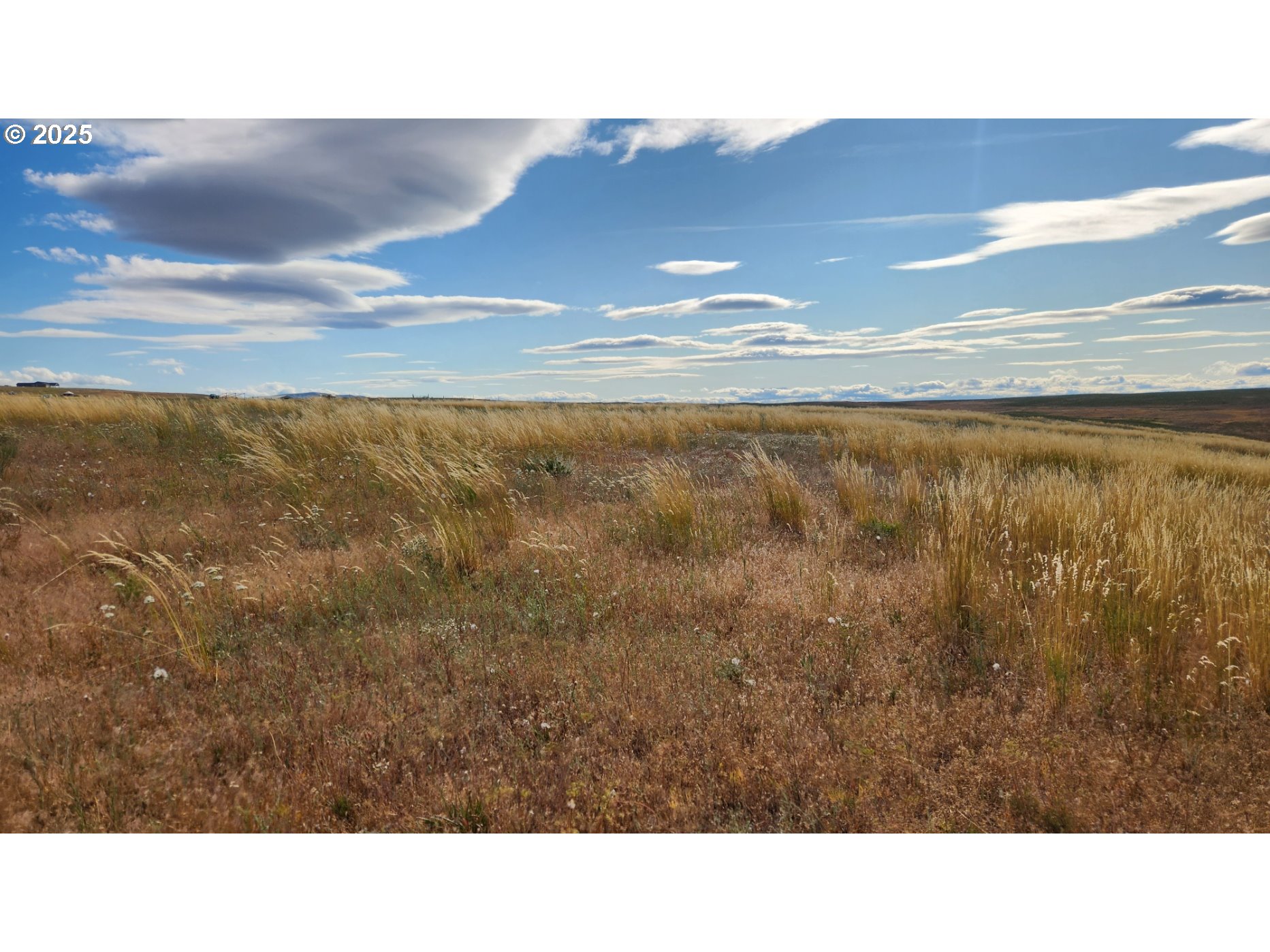 Nka Shull Ranch Road Centerville, WA 98613 - Photo 8 of 20