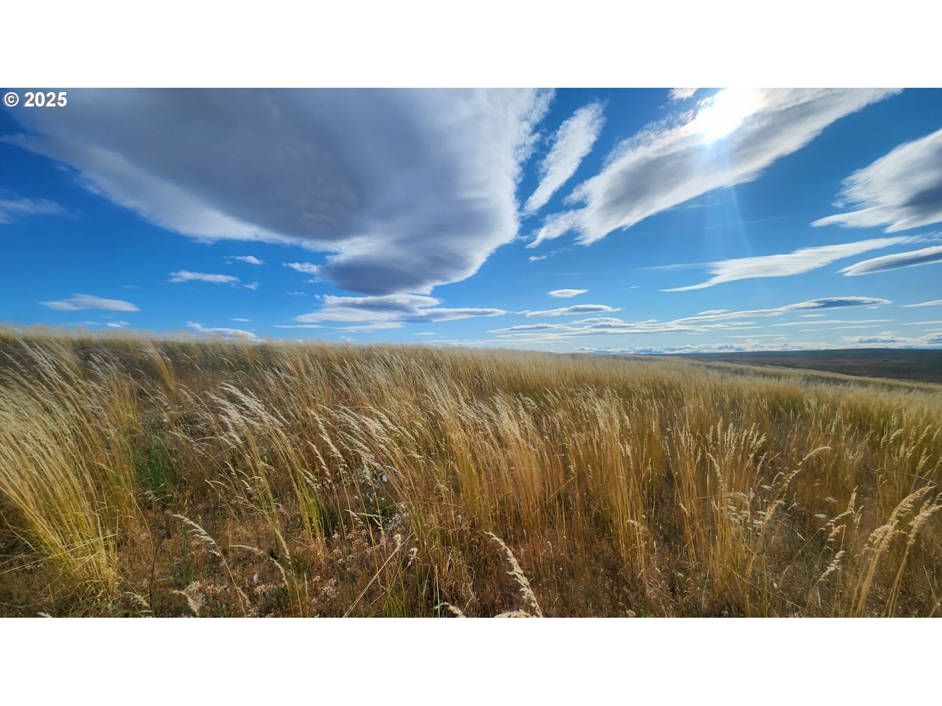 Nka Shull Ranch Road Centerville, WA 98613 - Photo 9 of 20