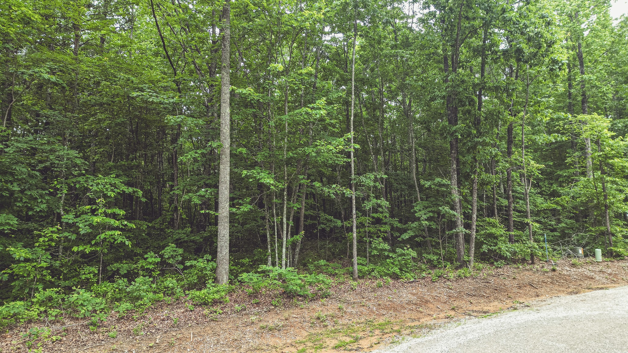 59 Twilight Point Monteagle, TN 37356 - Photo 6 of 18