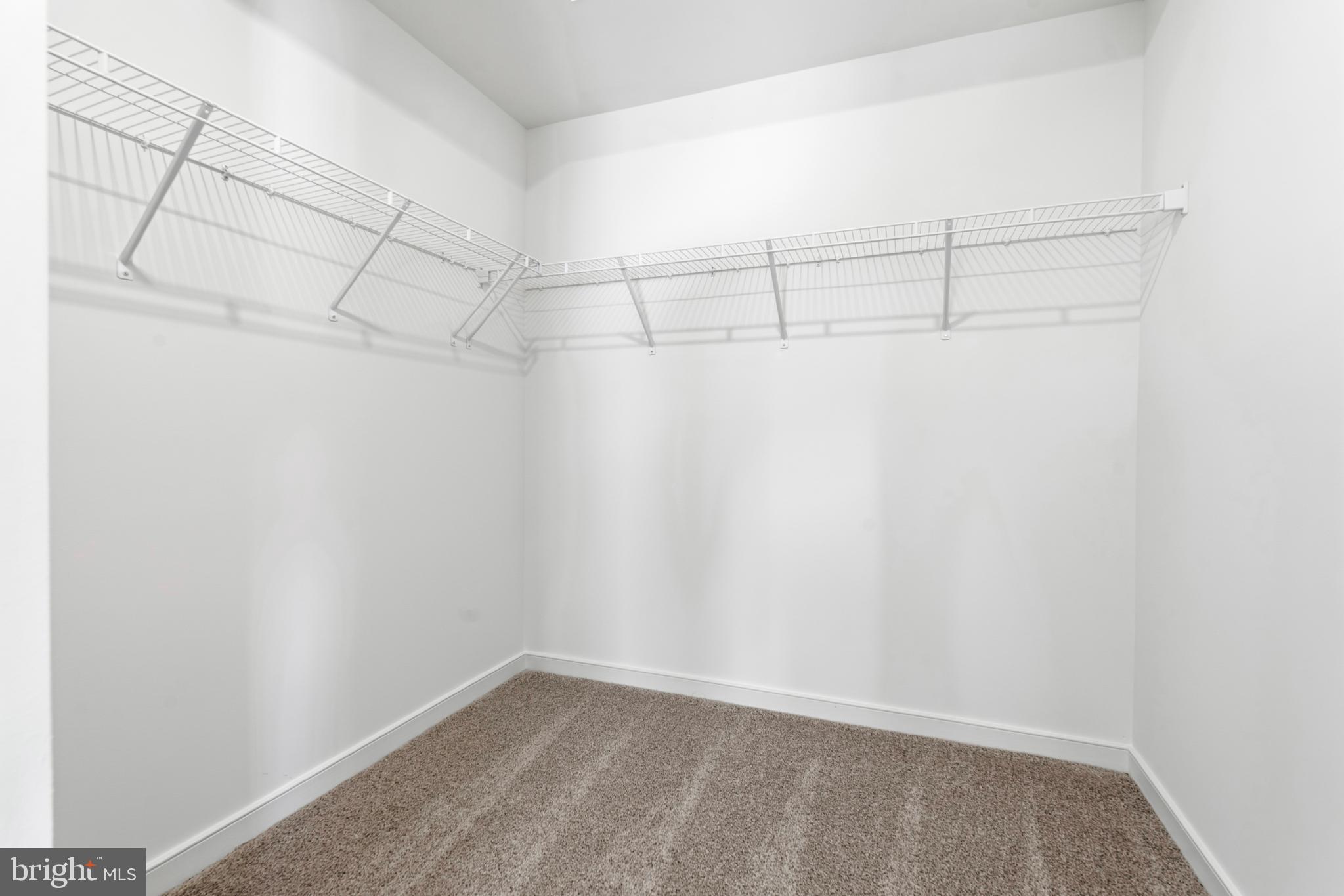 19705 Misty Moss Square Ashburn, VA 20147 - Photo 15 of 25 Spacious walk in closet.