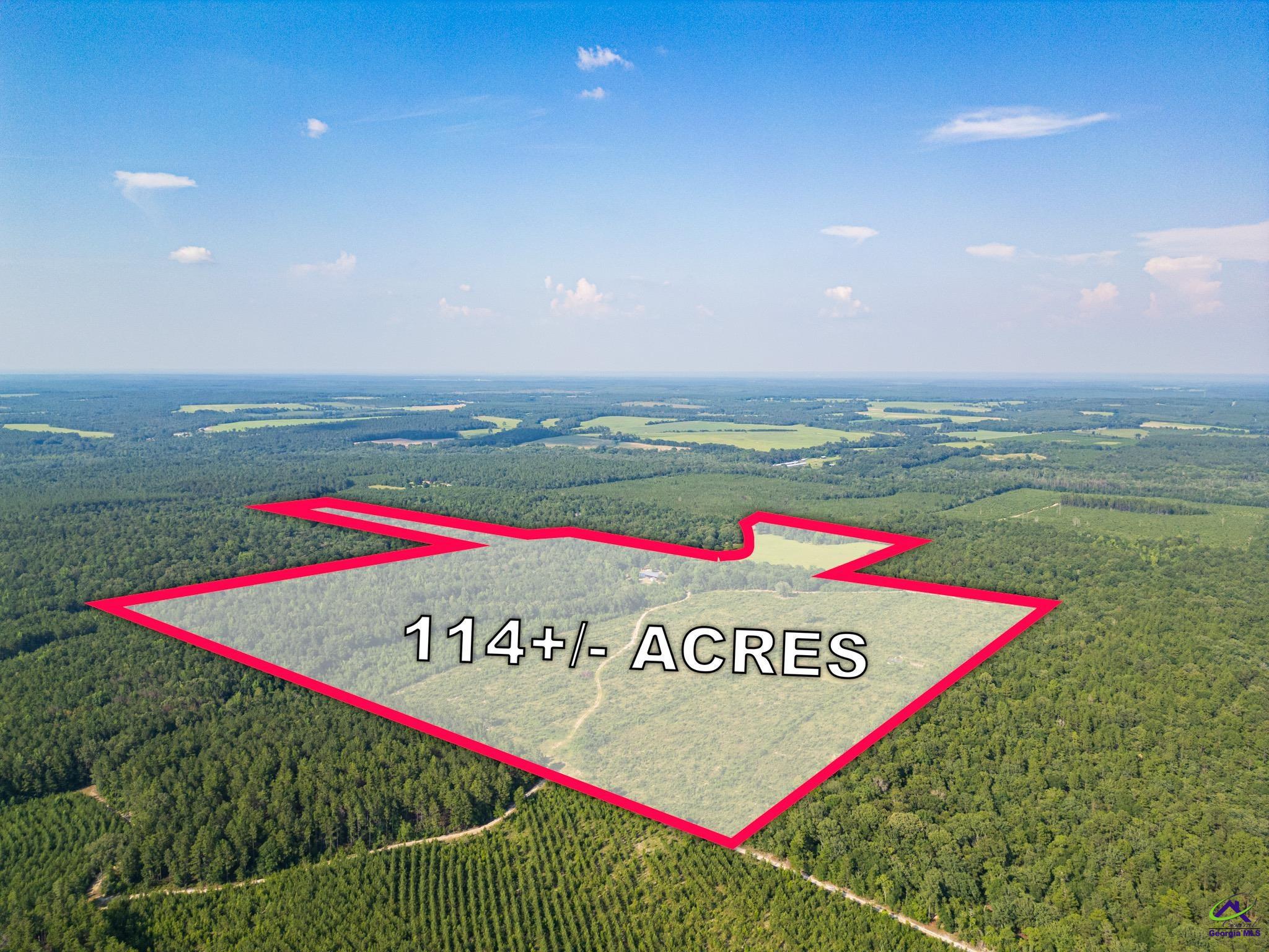 Southland Road Butler, GA 31006 - Photo 21 of 68