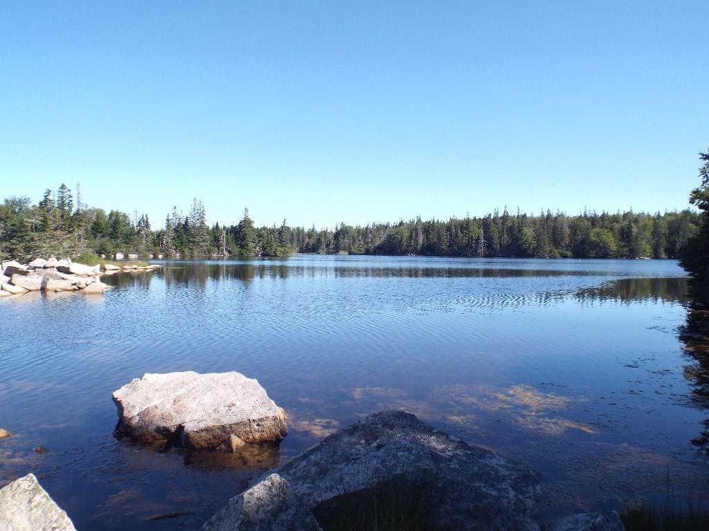 131 Old Harbor Road Vinalhaven, ME 04863 - Photo 1 of 11 View of lowest building site. Gorgeous!