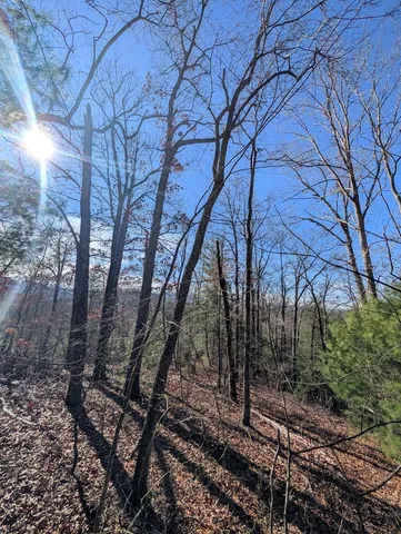 a view of yard with tree and wooden fence