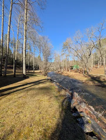 a view of a dry yard