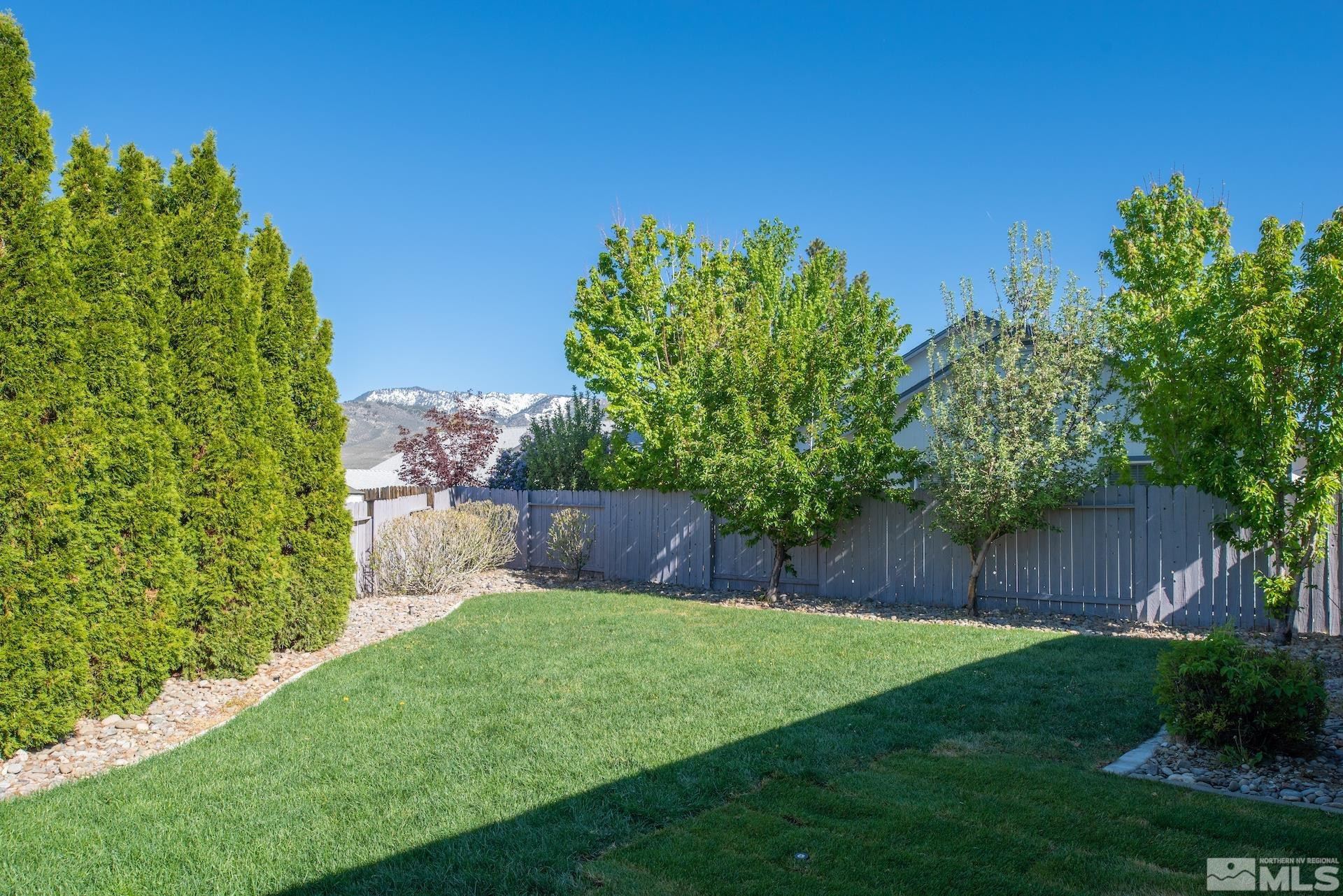 923 Ranchview Circle Carson City, NV 89705 - Photo 25 of 27 a view of a backyard with a garden