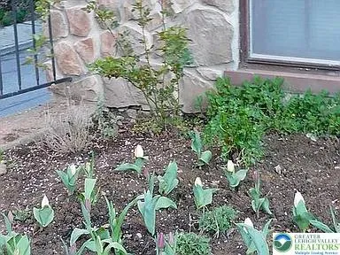 a view of a porch with a yard