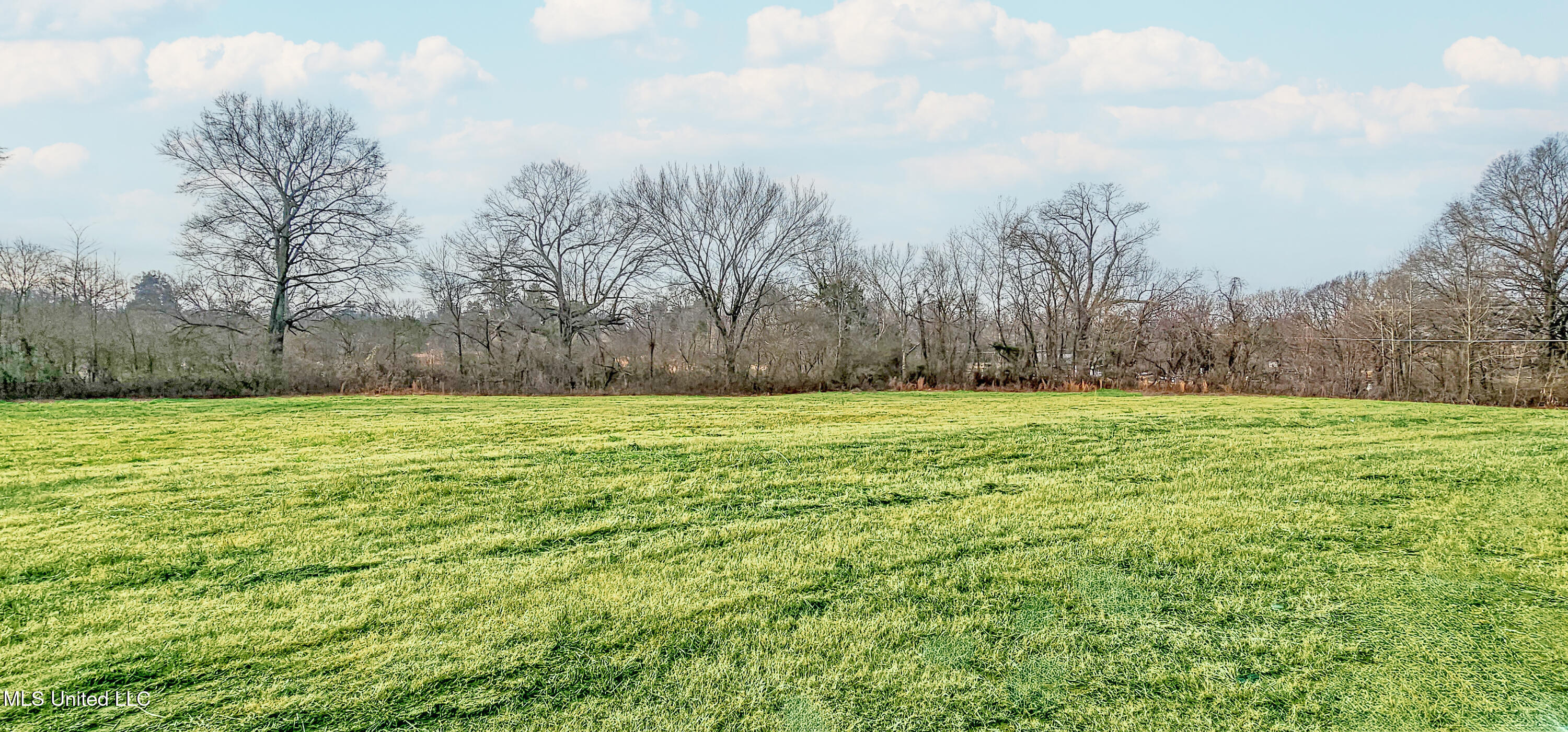 146 Rossville Road Holly Springs, MS 38635 - Photo 4 of 17 Large Open Backyard