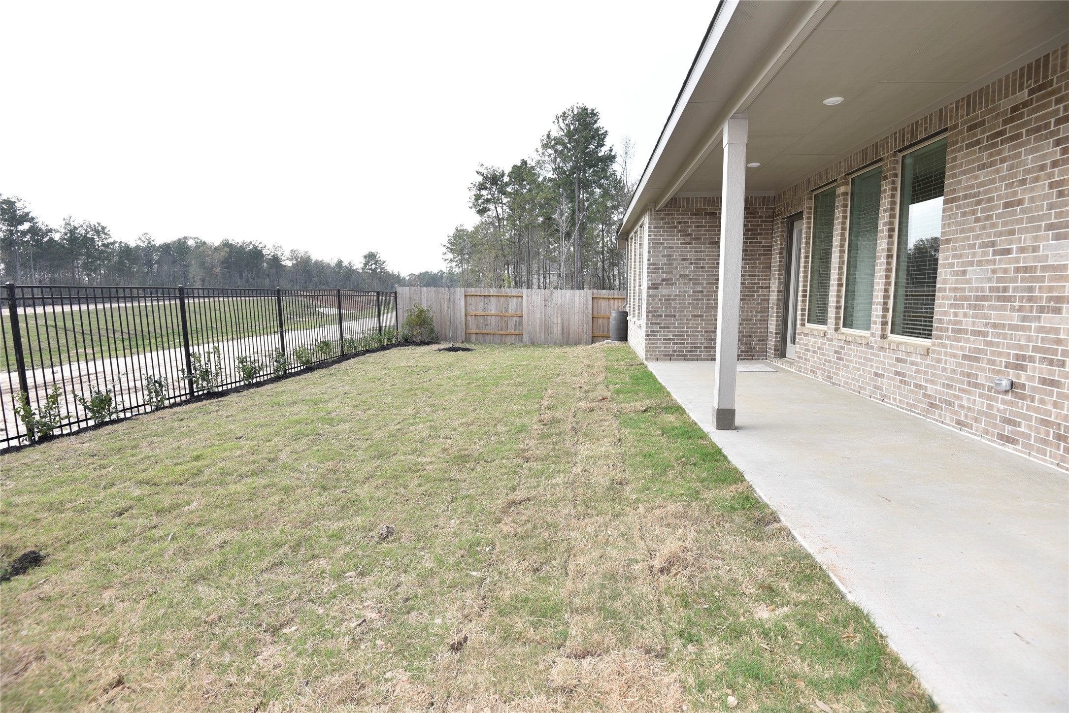 15524 Leopard Lily Lane Conroe, TX 77302 - Photo 43 of 47 a view of backyard and tree