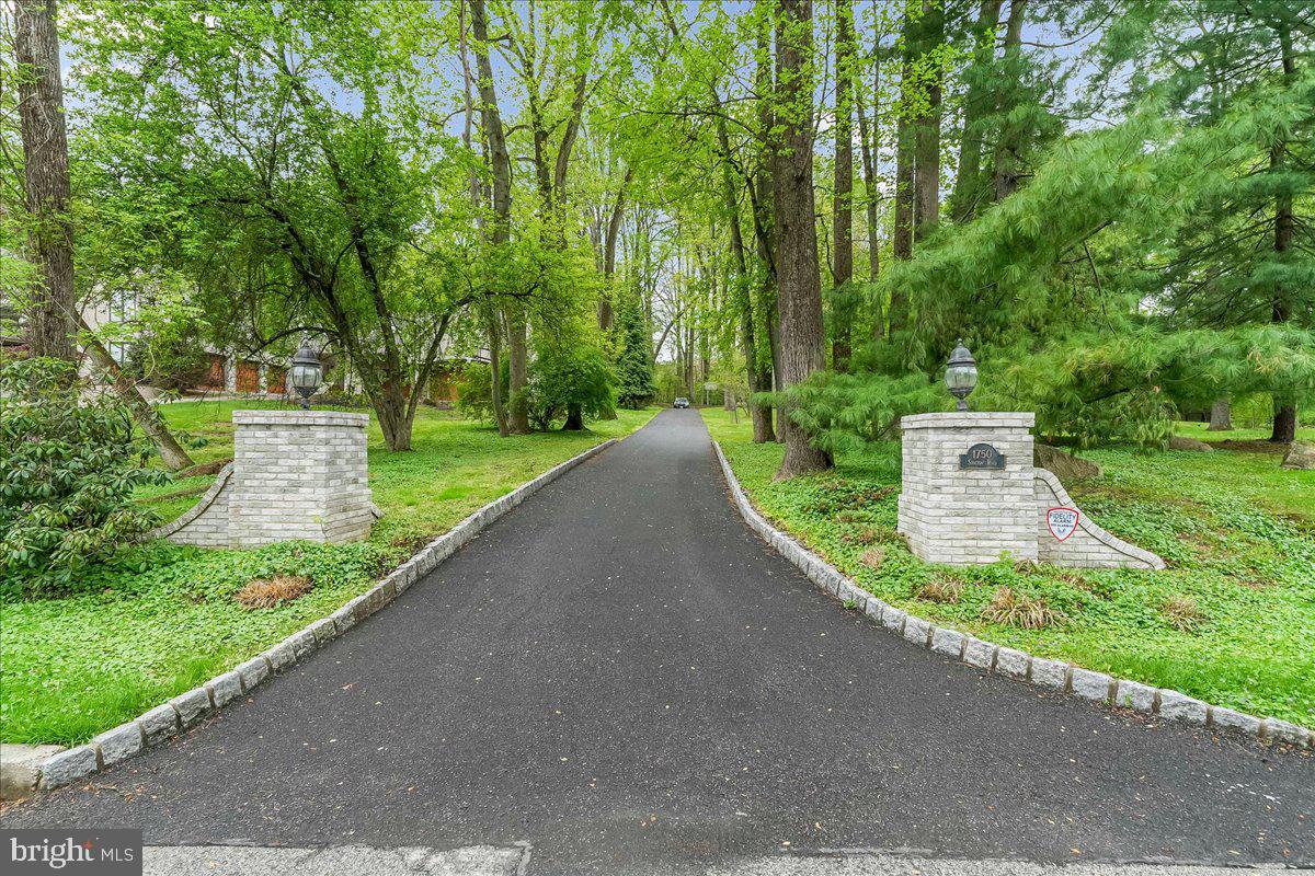 1750 Stocton Road Jenkintown, PA 19046 - Photo 50 of 50 Serene pathway through lush greenery.