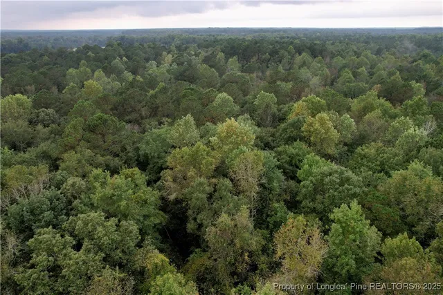 an aerial view of forest