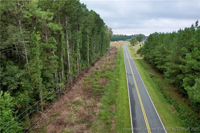 a view of a trees in a yard