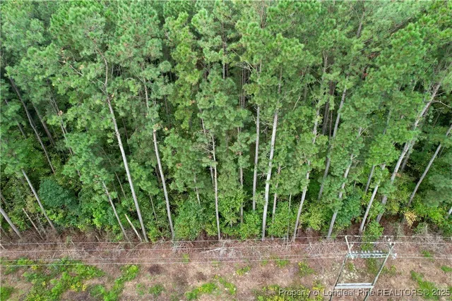 a view of a yard with plants
