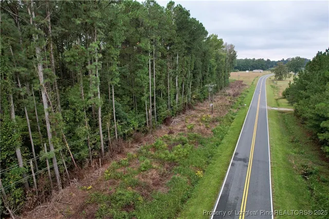 a view of a lush green space