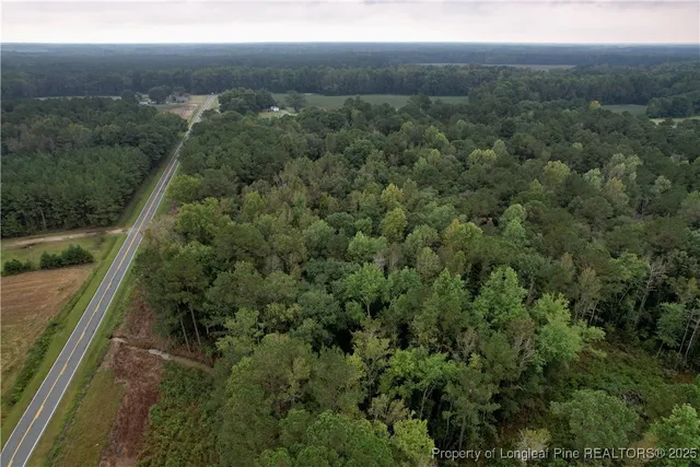 an aerial view of residential house with space and trees all around