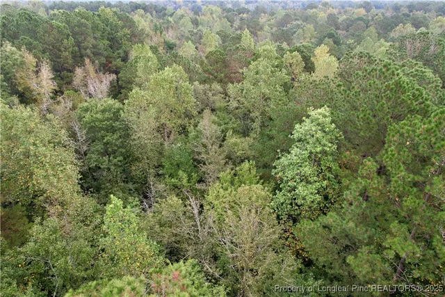 an aerial view of houses covered in trees