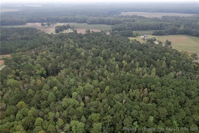 a view of a city with lush green forest