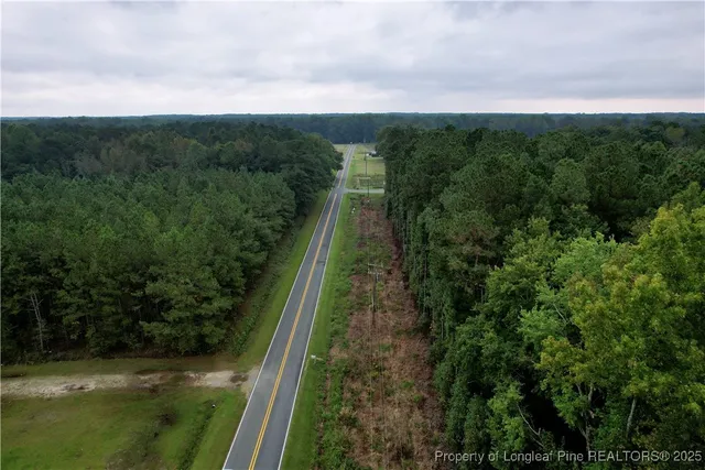 a view of a city with lush green forest